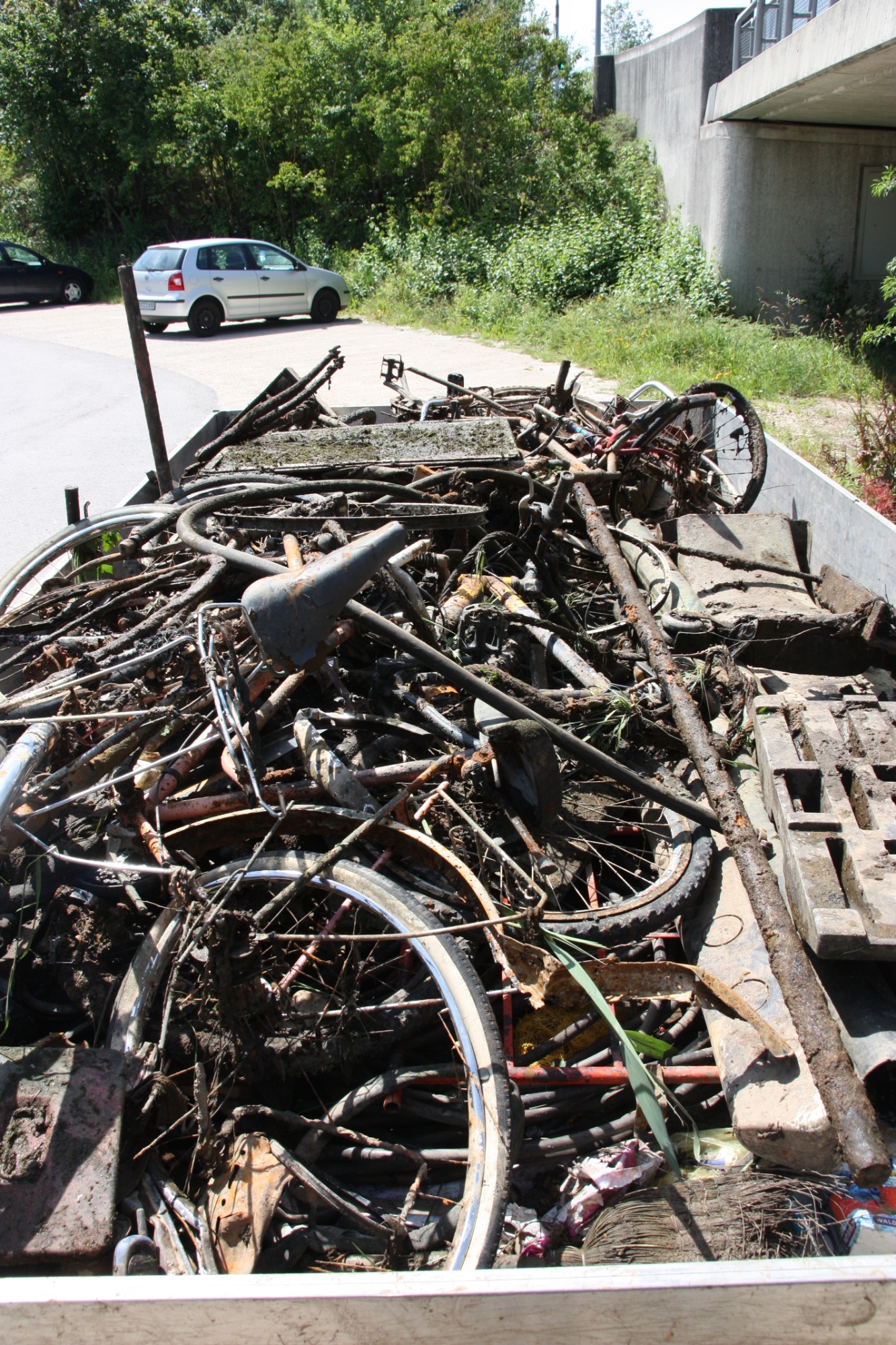 Gewässerreinigung Ein Haufen alter Fahrräder und Metallteile auf einem Anhänger, umgeben von Grün.