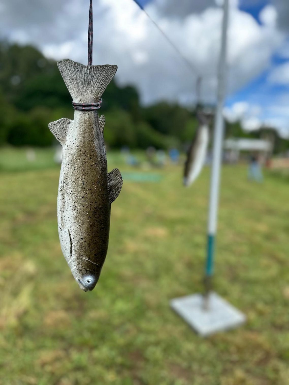 Vorher Hängende Fische an einer Leine in einer grünen Landschaft unter wolkigem Himmel.