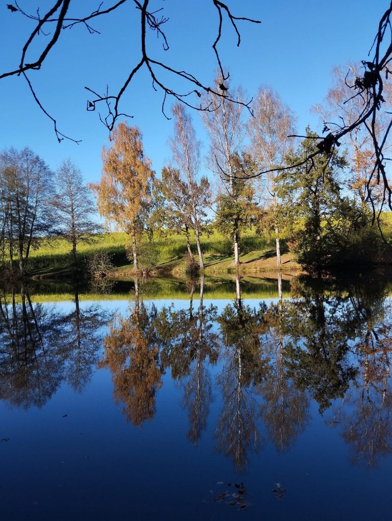 Bäume und Sträucher spiegeln sich im stillen Wasser eines klaren Teichs. Bäume und Sträucher spiegeln sich im stillen Wasser eines klaren Teichs.
