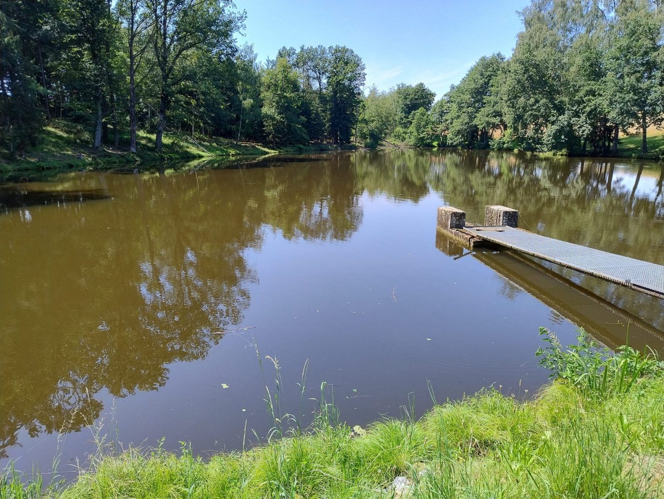 Ruhiger See mit Holzsteg, umgeben von Bäumen und grünem Gras. Ruhiger See mit Holzsteg, umgeben von Bäumen und grünem Gras.