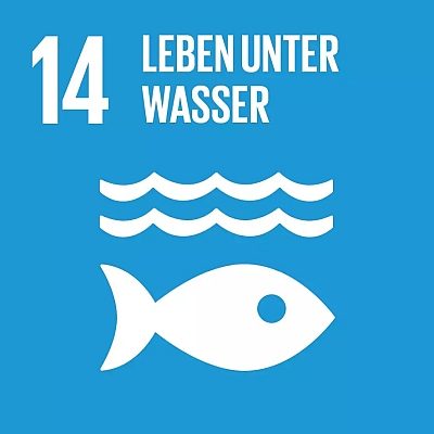 Symbol für Ziel 14: Leben unter Wasser, mit Fisch und Wellen auf blauem Hintergrund.