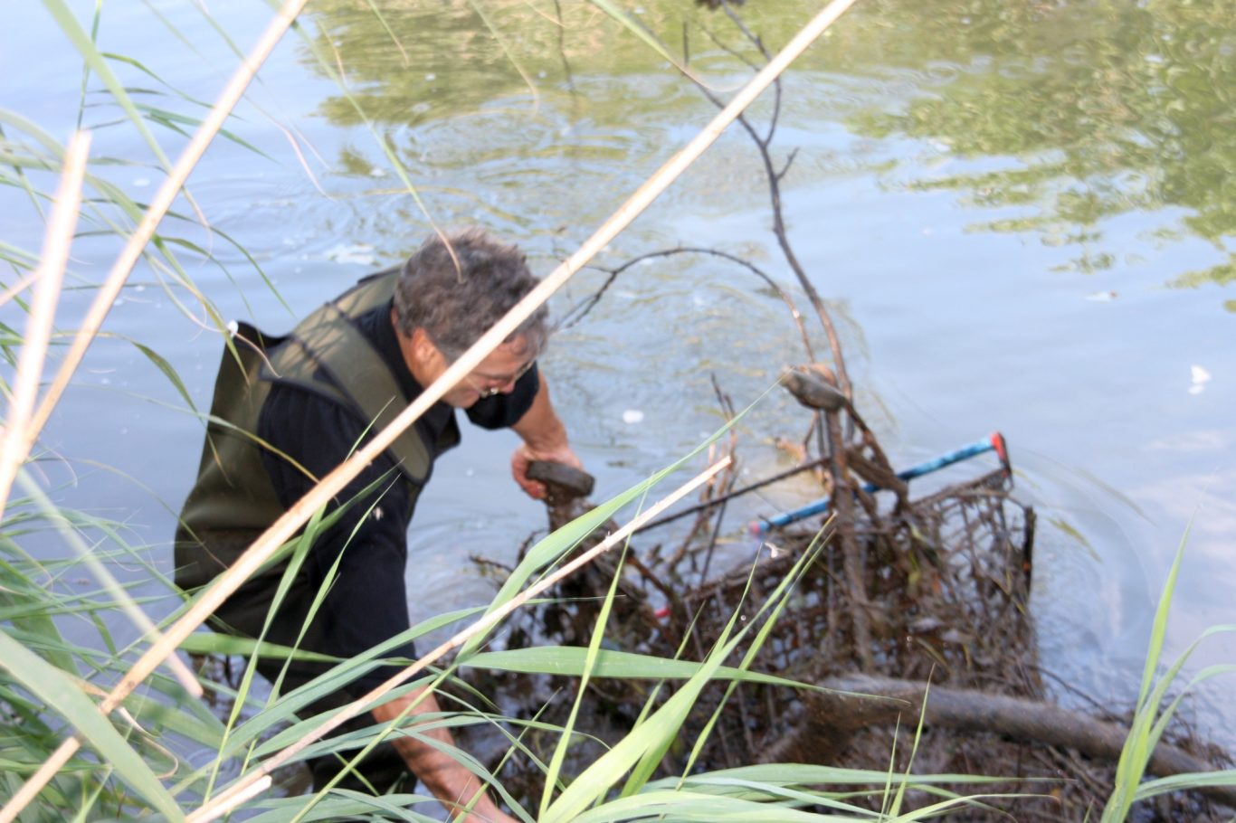 Gewässerreinigung Eine Person durchsucht in wässrigem Gelände Pflanzenreste mit einem Werkzeug.