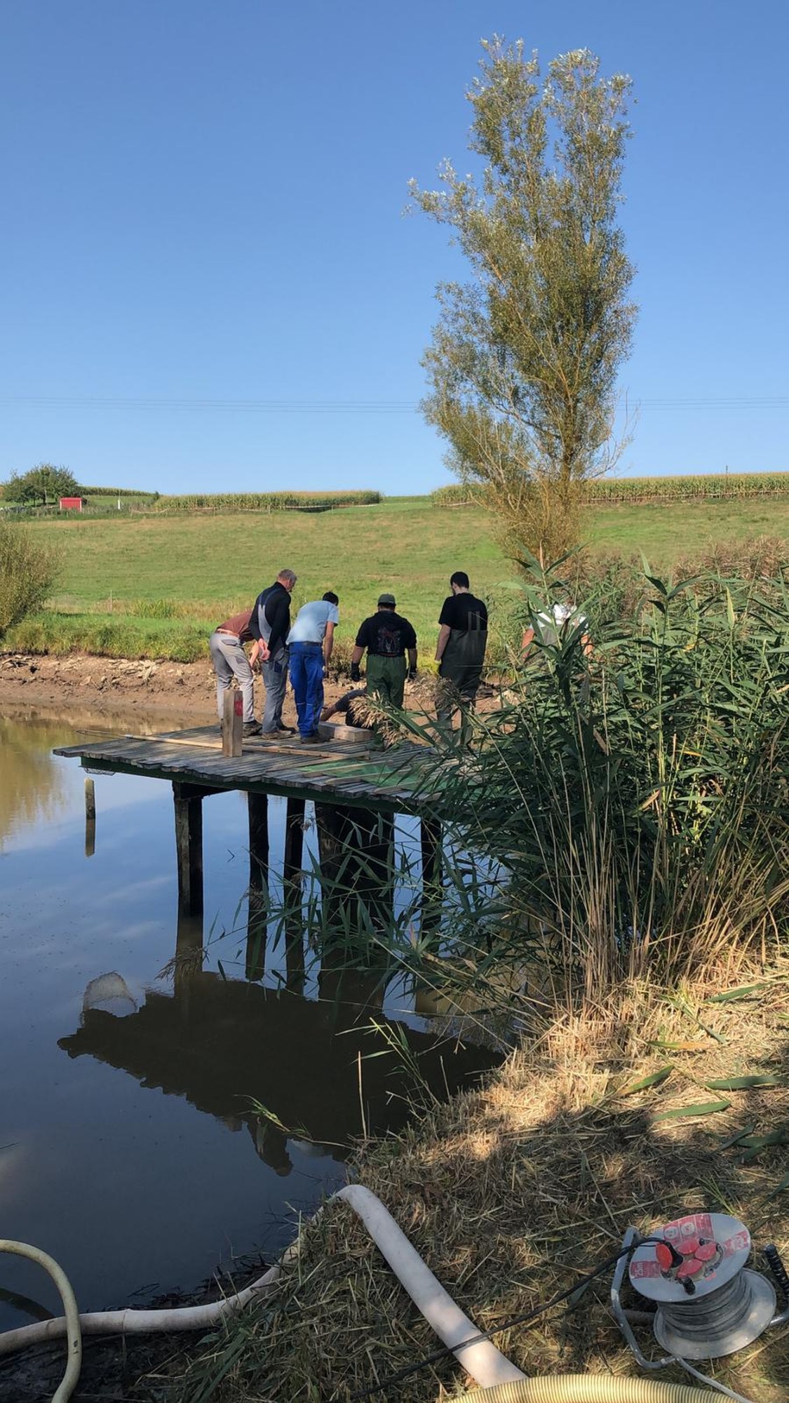 Vorbereitung zum Abfischen Personen stehen auf einem Steg an einem ruhigen Gewässer, umgeben von Natur.