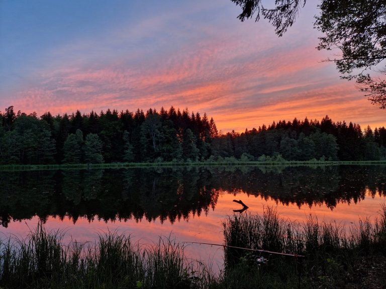 Sonnenuntergang über einem ruhigen See, umgeben von Wäldern und reflektierenden Wolken.