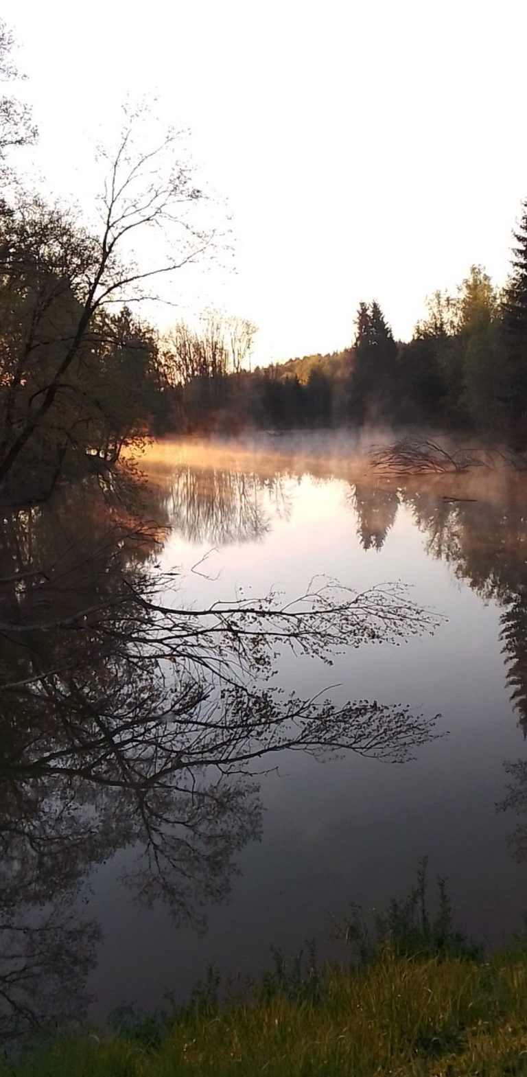 Ruhiger Fluss in der Dämmerung, umgeben von Bäumen und leichtem Nebel. Ruhiger Fluss in der Dämmerung, umgeben von Bäumen und leichtem Nebel.