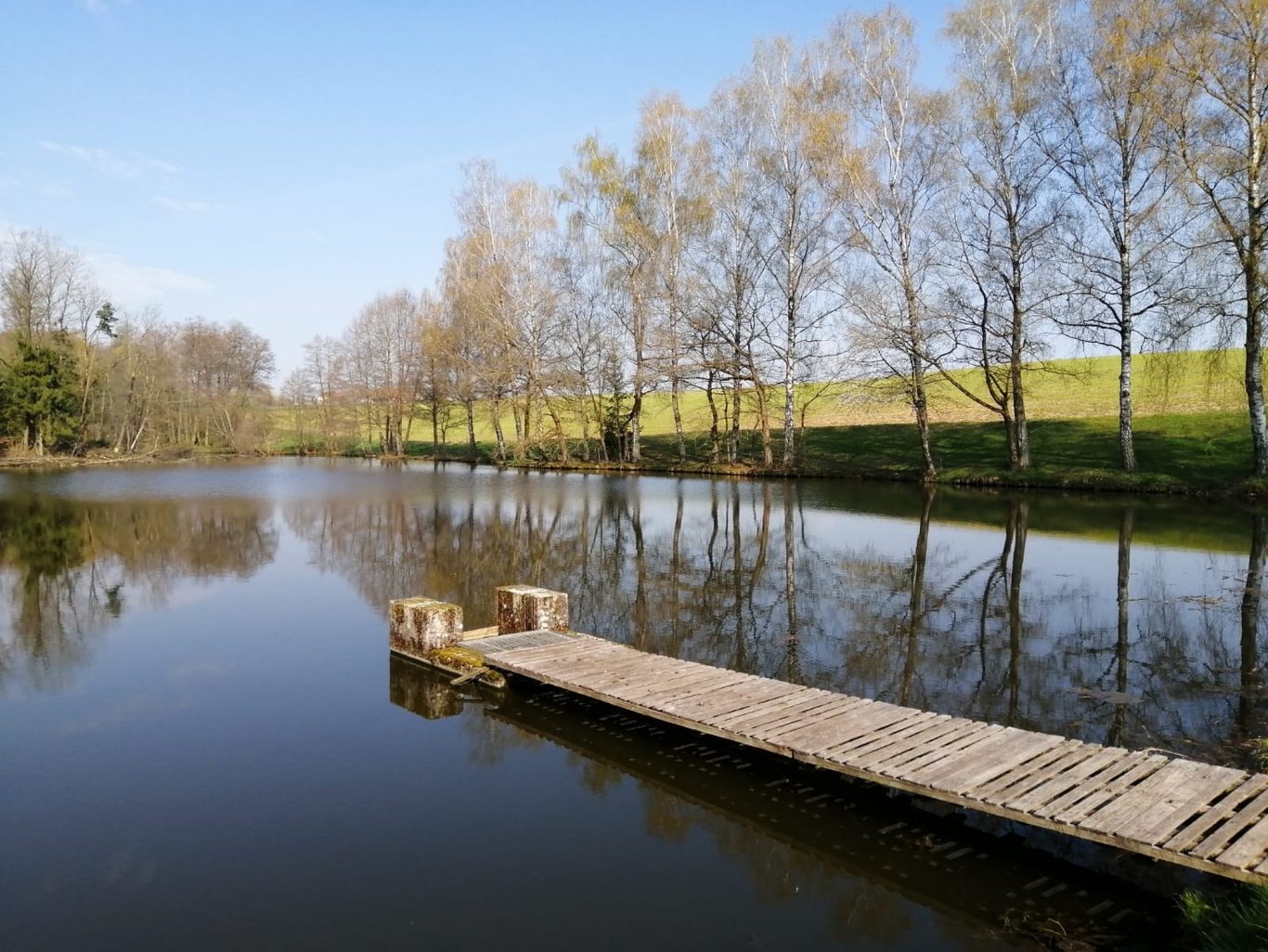 Ruhiger See mit Holzsteg und Bäume am Ufer, reflektiert im Wasser. Ruhiger See mit Holzsteg und Bäume am Ufer, reflektiert im Wasser.